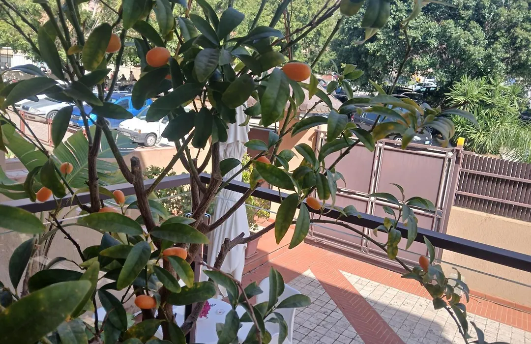 I Segreti della Valle-1